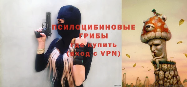 ПСИЛОЦИБИНОВЫЕ ГРИБЫ Алексеевка