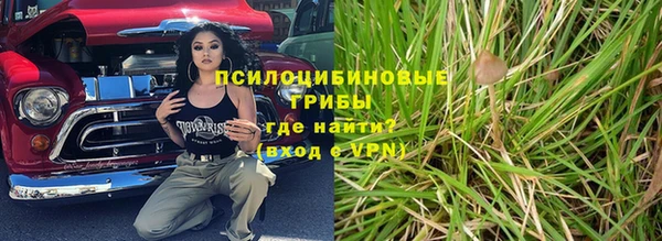 ПСИЛОЦИБИНОВЫЕ ГРИБЫ Алексеевка
