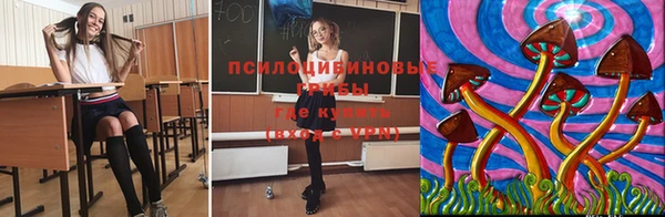 ПСИЛОЦИБИНОВЫЕ ГРИБЫ Алексеевка