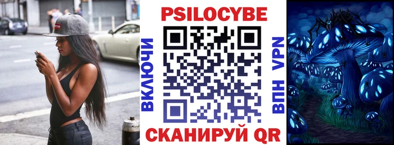 Псилоцибиновые грибы MAGIC MUSHROOMS  kraken как войти  Богучар 